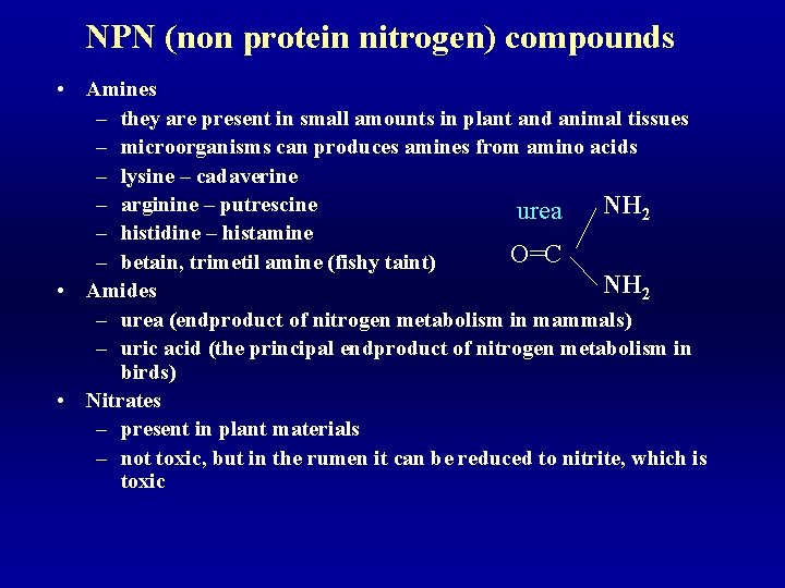 NPN (non protein nitrogen) compounds • Amines – they are present in small amounts