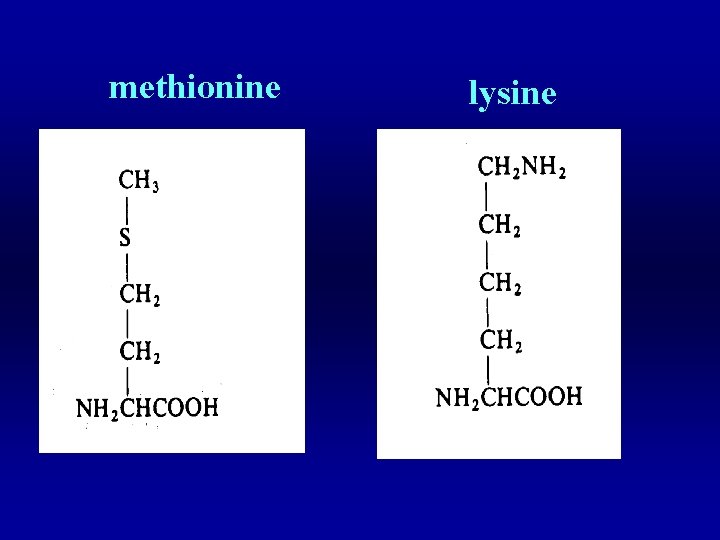 methionine lysine 