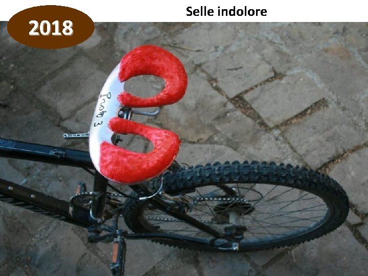 2018 Selle indolore 