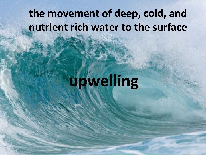 the movement of deep, cold, and nutrient rich water to the surface upwelling 
