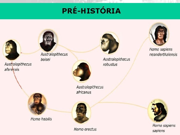 PRÉ-HISTÓRIA 