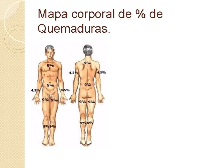 Mapa corporal de % de Quemaduras. 