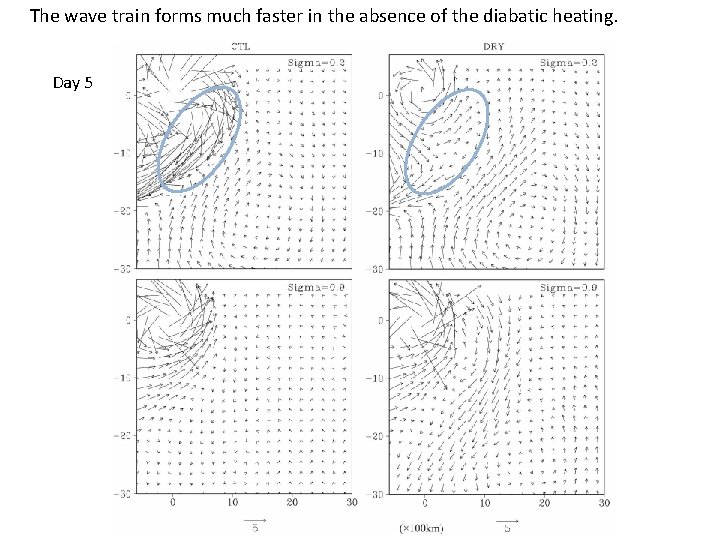 The wave train forms much faster in the absence of the diabatic heating. Day