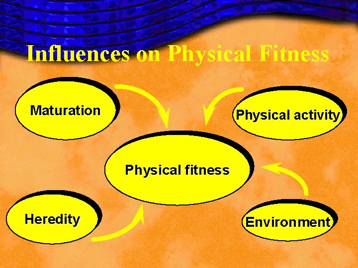 Influences on Physical Fitness Maturation Physical activity Physical fitness Heredity Environment Influences on Physical Fitness Maturation Physical activity Physical fitness Heredity Environment