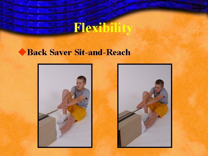 Back Flexibility u. Back Saver Sit-and-Reach Back Flexibility u. Back Saver Sit-and-Reach