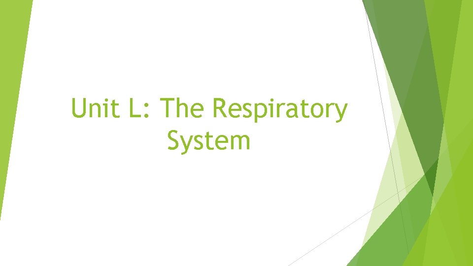 Unit L: The Respiratory System 