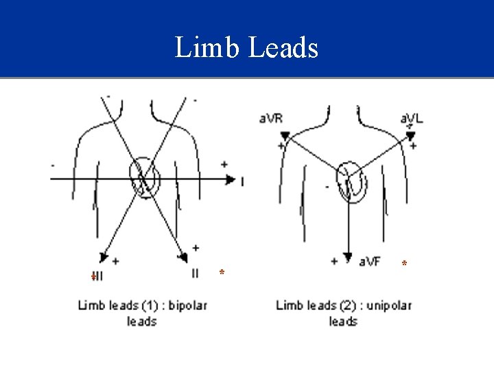 Limb Leads * * * 