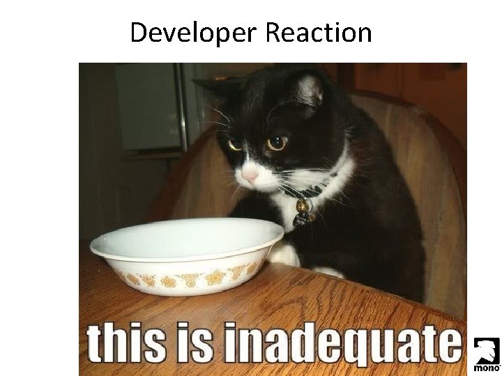 Developer Reaction 