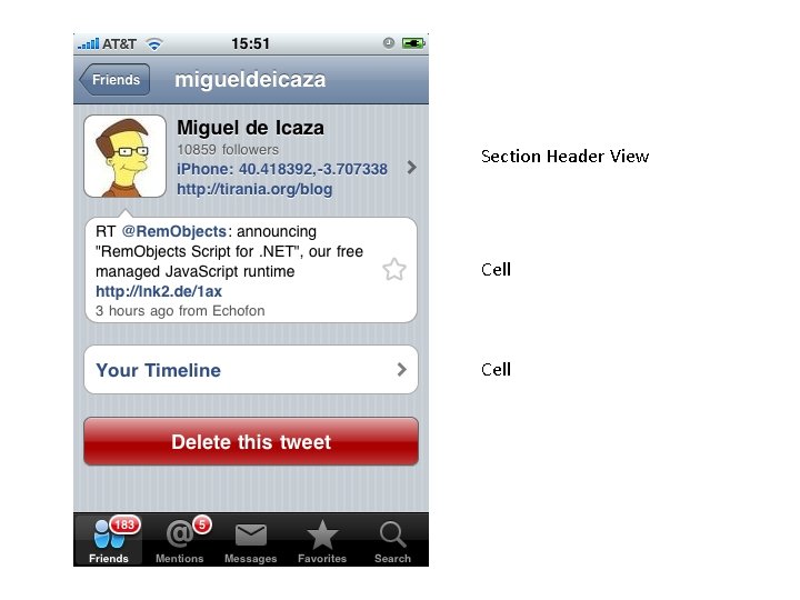 Section Header View Cell 