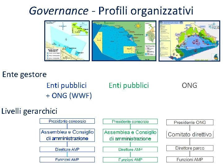 Governance - Profili organizzativi Ente gestore Enti pubblici + ONG (WWF) Enti pubblici ONG
