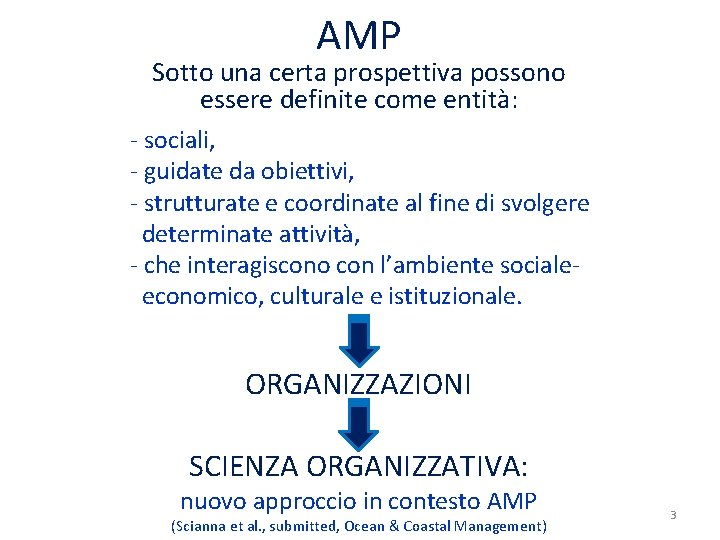 AMP Sotto una certa prospettiva possono essere definite come entità: - sociali, - guidate