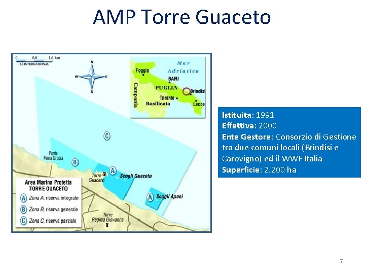 AMP Torre Guaceto Istituita: 1991 Effettiva: 2000 Ente Gestore: Consorzio di Gestione tra due