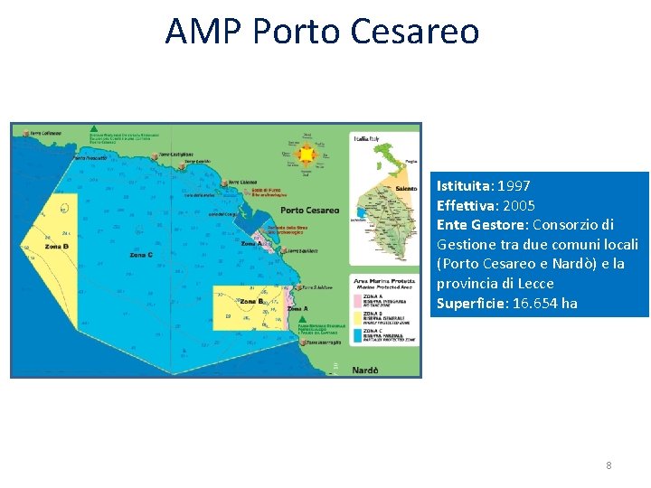 AMP Porto Cesareo Istituita: 1997 Effettiva: 2005 Ente Gestore: Consorzio di Gestione tra due