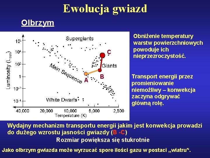 Ewolucja gwiazd Olbrzym C A B Obniżenie temperatury warstw powierzchniowych powoduje ich nieprzezroczystość. Transport