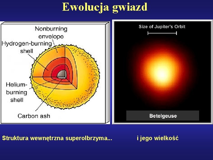 Ewolucja gwiazd Struktura wewnętrzna superolbrzyma. . . i jego wielkość 