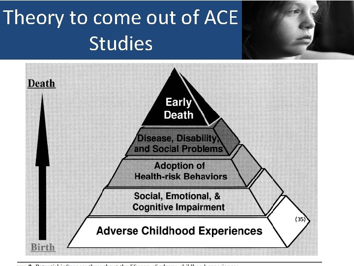 Theory to come out of ACE Studies (35) 