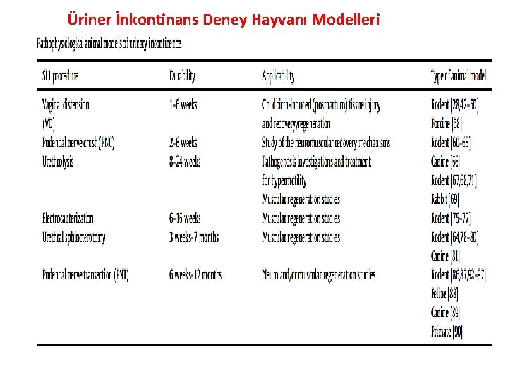 Üriner İnkontinans Deney Hayvanı Modelleri 