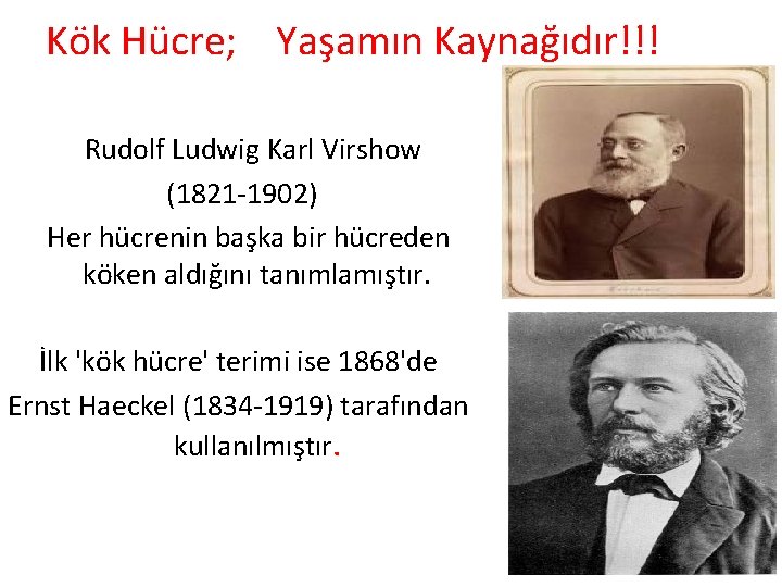 Kök Hücre; Yaşamın Kaynağıdır!!! Rudolf Ludwig Karl Virshow (1821 -1902) Her hücrenin başka bir