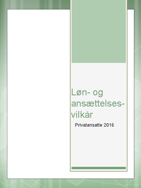 Løn- og ansættelsesvilkår Privatansatte 2016 