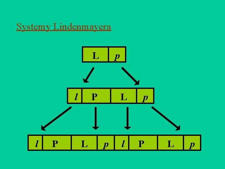 Systemy Lindenmayera L l l | P | L |p P |p L l