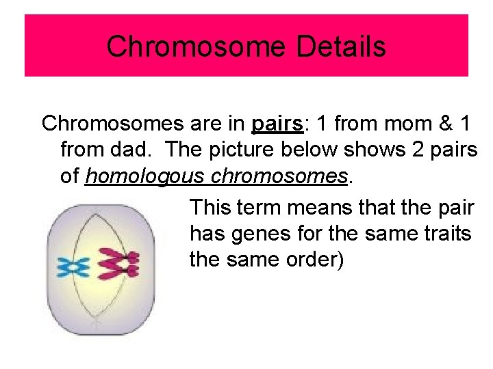 Chromosome Details Chromosomes are in pairs: 1 from mom & 1 from dad. The