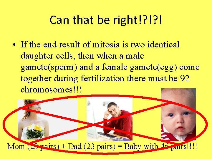 Can that be right!? !? ! • If the end result of mitosis is