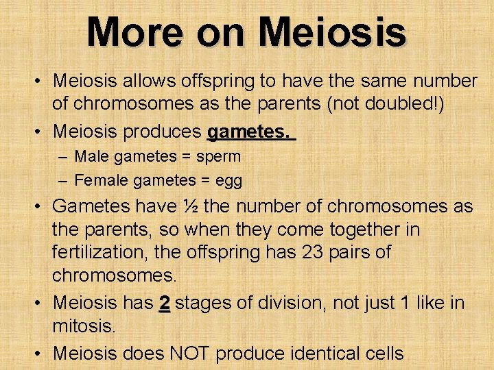 More on Meiosis • Meiosis allows offspring to have the same number of chromosomes