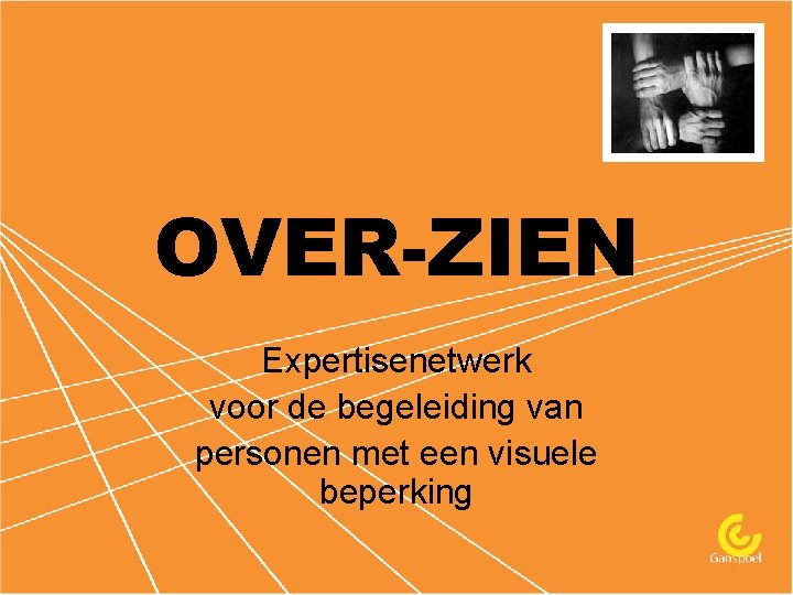 OVER-ZIEN Expertisenetwerk voor de begeleiding van personen met een visuele beperking 