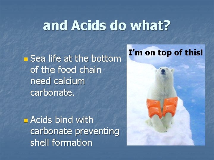 and Acids do what? n Sea life at the bottom of the food chain and Acids do what? n Sea life at the bottom of the food chain