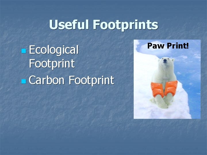Useful Footprints n Ecological Footprint n Carbon Footprint Paw Print! Useful Footprints n Ecological Footprint n Carbon Footprint Paw Print!