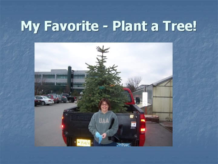 My Favorite - Plant a Tree! My Favorite - Plant a Tree!