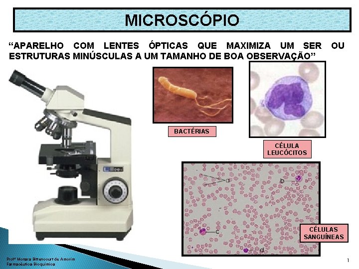 MICROSCPIO APARELHO COM LENTES PTICAS QUE MAXIMIZA UM