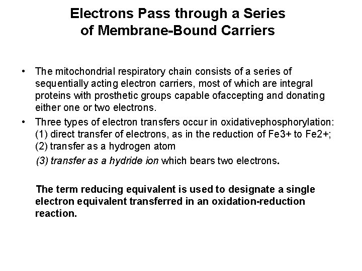 Electrons Pass through a Series of Membrane-Bound Carriers • The mitochondrial respiratory chain consists