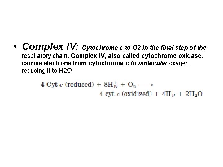  • Complex IV: Cytochrome c to O 2 In the final step of