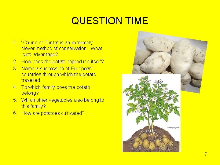 QUESTION TIME 1. “Chuno or Tunta” is an extremely clever method of conservation. What