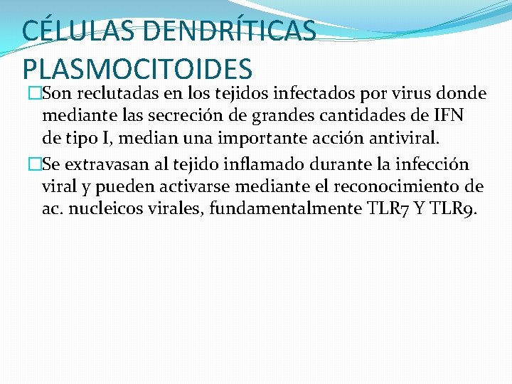CÉLULAS DENDRÍTICAS PLASMOCITOIDES �Son reclutadas en los tejidos infectados por virus donde mediante las