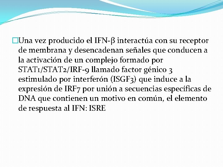 �Una vez producido el IFN-β interactúa con su receptor de membrana y desencadenan señales