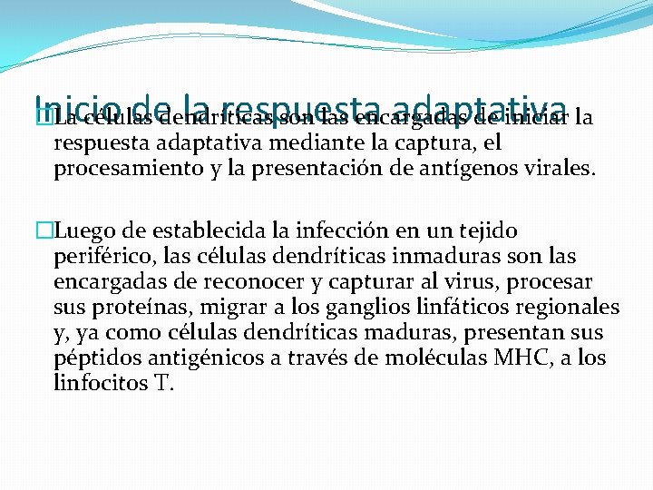 Inicio dedendríticas la respuesta adaptativa �La células son las encargadas de iniciar la respuesta