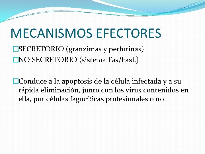 MECANISMOS EFECTORES �SECRETORIO (granzimas y perforinas) �NO SECRETORIO (sistema Fas/Fas. L) �Conduce a la