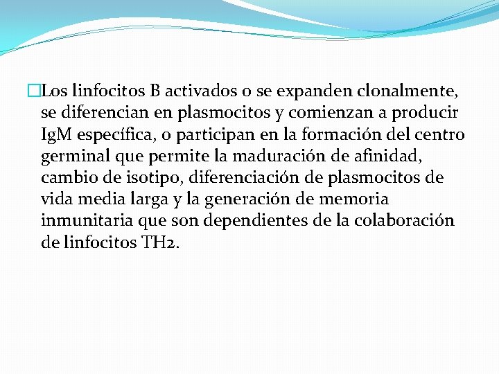 �Los linfocitos B activados o se expanden clonalmente, se diferencian en plasmocitos y comienzan