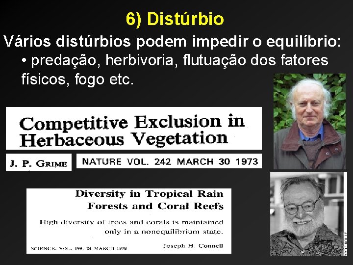 6) Distúrbio Vários distúrbios podem impedir o equilíbrio: • predação, herbivoria, flutuação dos fatores