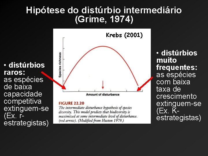 Hipótese do distúrbio intermediário (Grime, 1974) Krebs (2001) • distúrbios raros: as espécies de