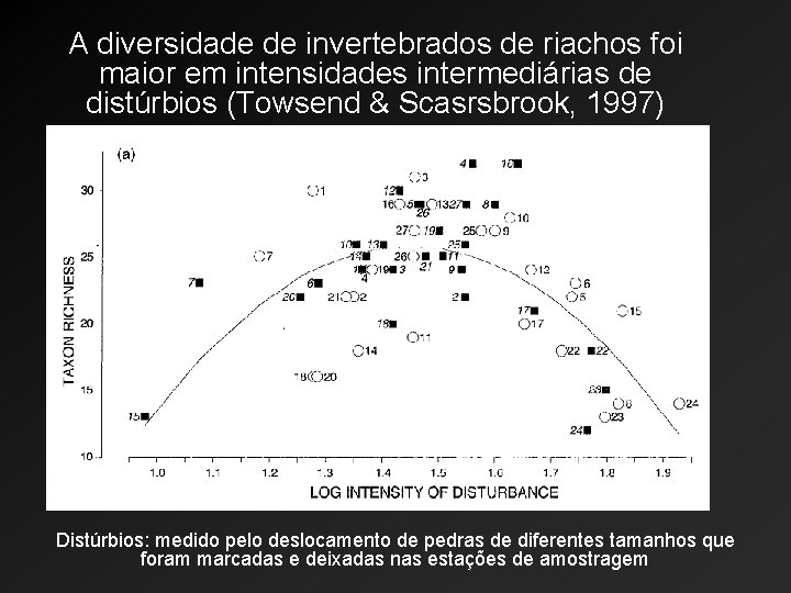 A diversidade de invertebrados de riachos foi maior em intensidades intermediárias de distúrbios (Towsend