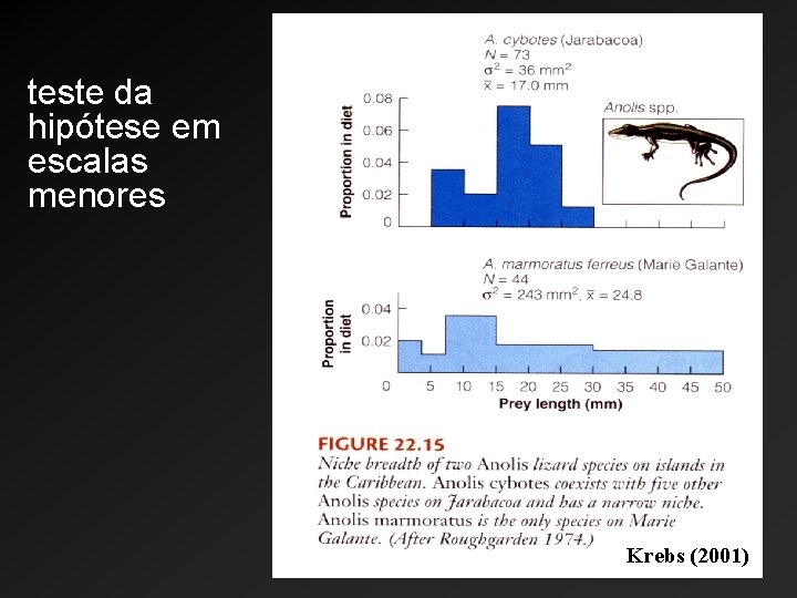 teste da hipótese em escalas menores Krebs (2001) 