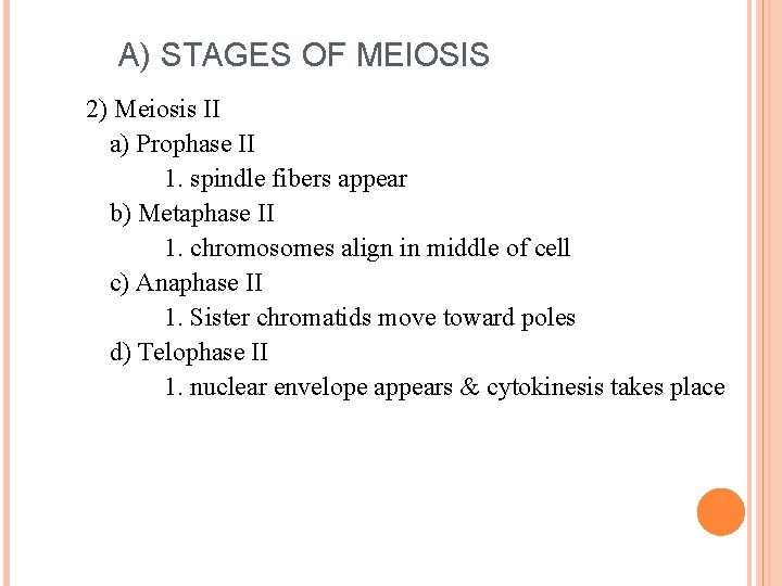 A) STAGES OF MEIOSIS 2) Meiosis II a) Prophase II 1. spindle fibers appear