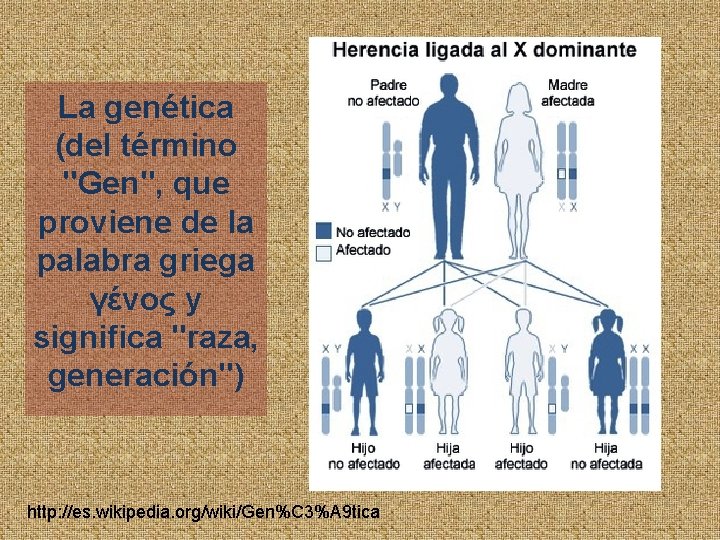 La genética (del término "Gen", que proviene de la palabra griega γένος y significa