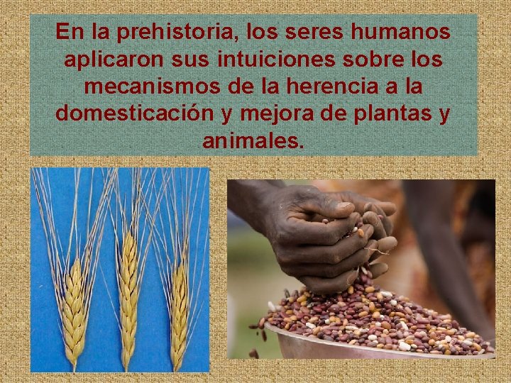 En la prehistoria, los seres humanos aplicaron sus intuiciones sobre los mecanismos de la