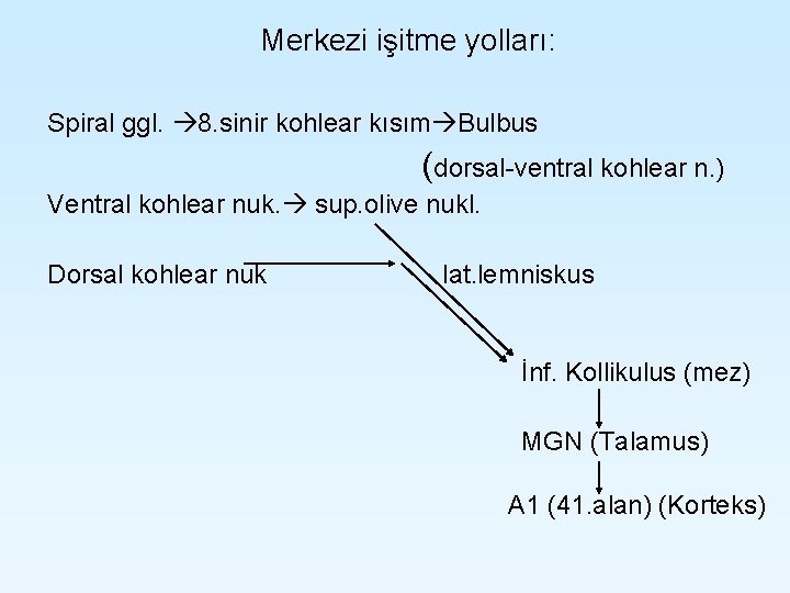 Merkezi işitme yolları: Spiral ggl. 8. sinir kohlear kısım Bulbus (dorsal-ventral kohlear n. ) Merkezi işitme yolları: Spiral ggl. 8. sinir kohlear kısım Bulbus (dorsal-ventral kohlear n. )