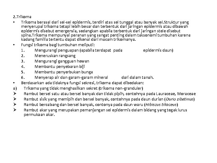 2. Trikoma • Trikoma berasal dari sel-sel epidermis, terdiri atas sel tunggal atau banyak