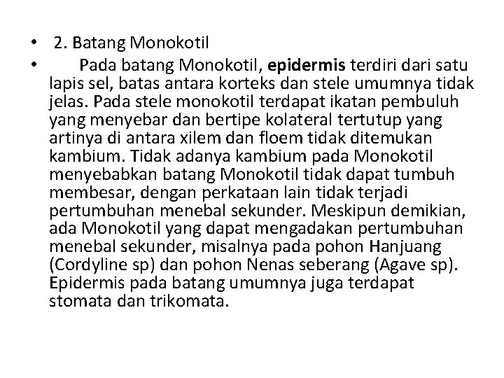  • 2. Batang Monokotil • Pada batang Monokotil, epidermis terdiri dari satu lapis